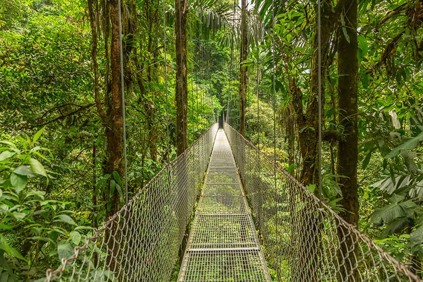 Rainmaker Bridge, Costa Rica