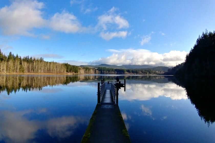 Things to do in Bellingham, WA: Lake Padden Park