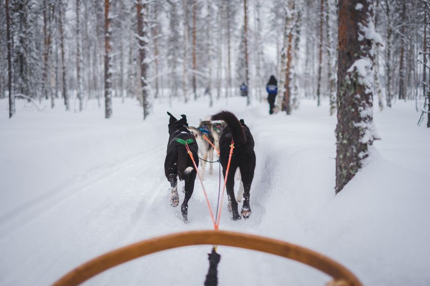 Best places to travel in January: Finnish Lapland