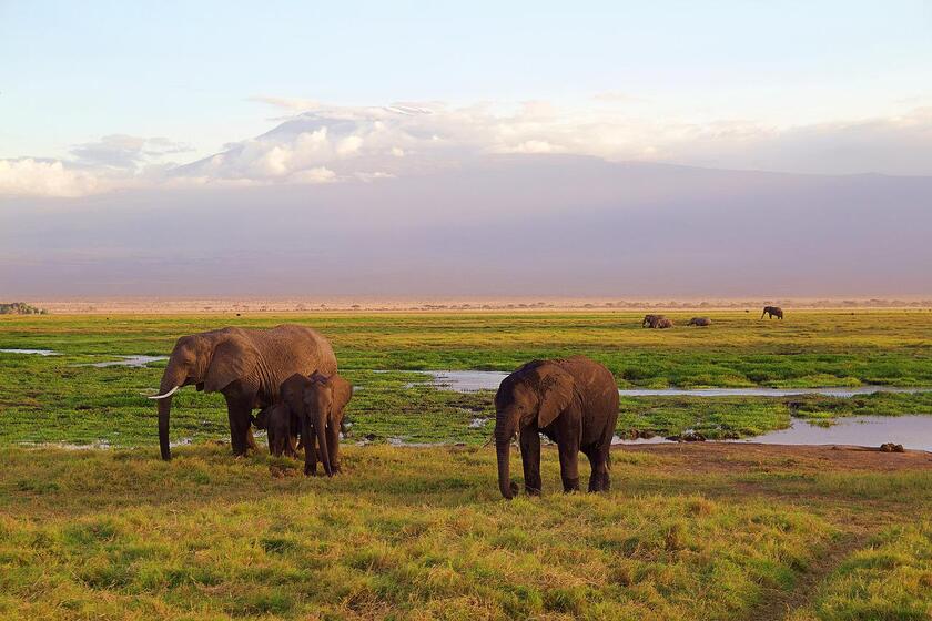 Best places to travel in July: Kenya