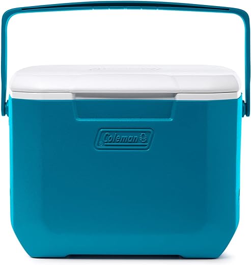 Coleman Chiller Series 16qt Insulated Portable Cooler, Hard Cooler with Heavy Duty Handle & Ice Retention, Great for Beach, Picnic, Camping, Tailgating, Groceries, Boating, & More